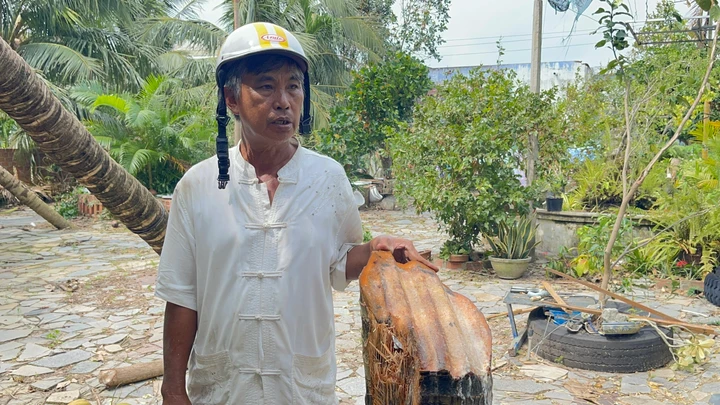 Ông Bình bên cây dừa bị tôn chém ngang.